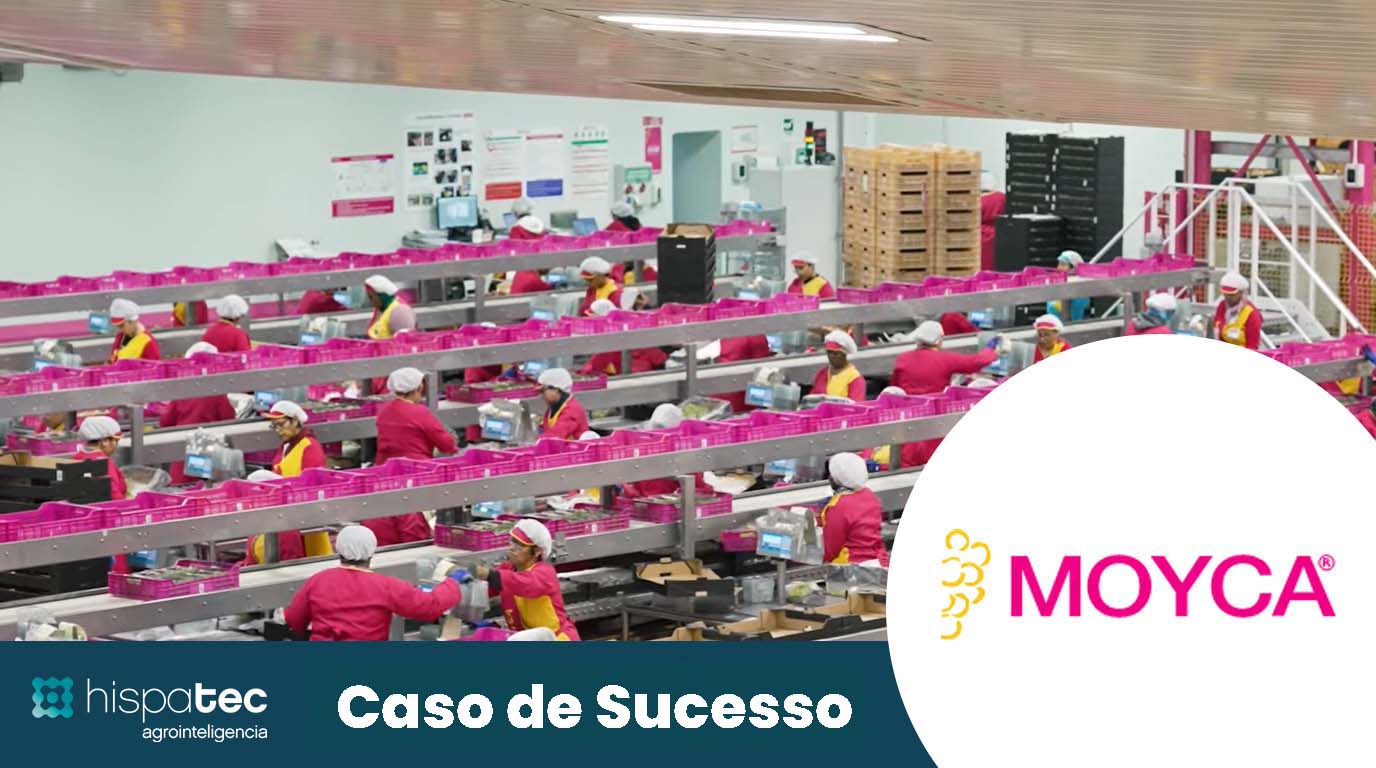 Caso de Sucesso Moyca