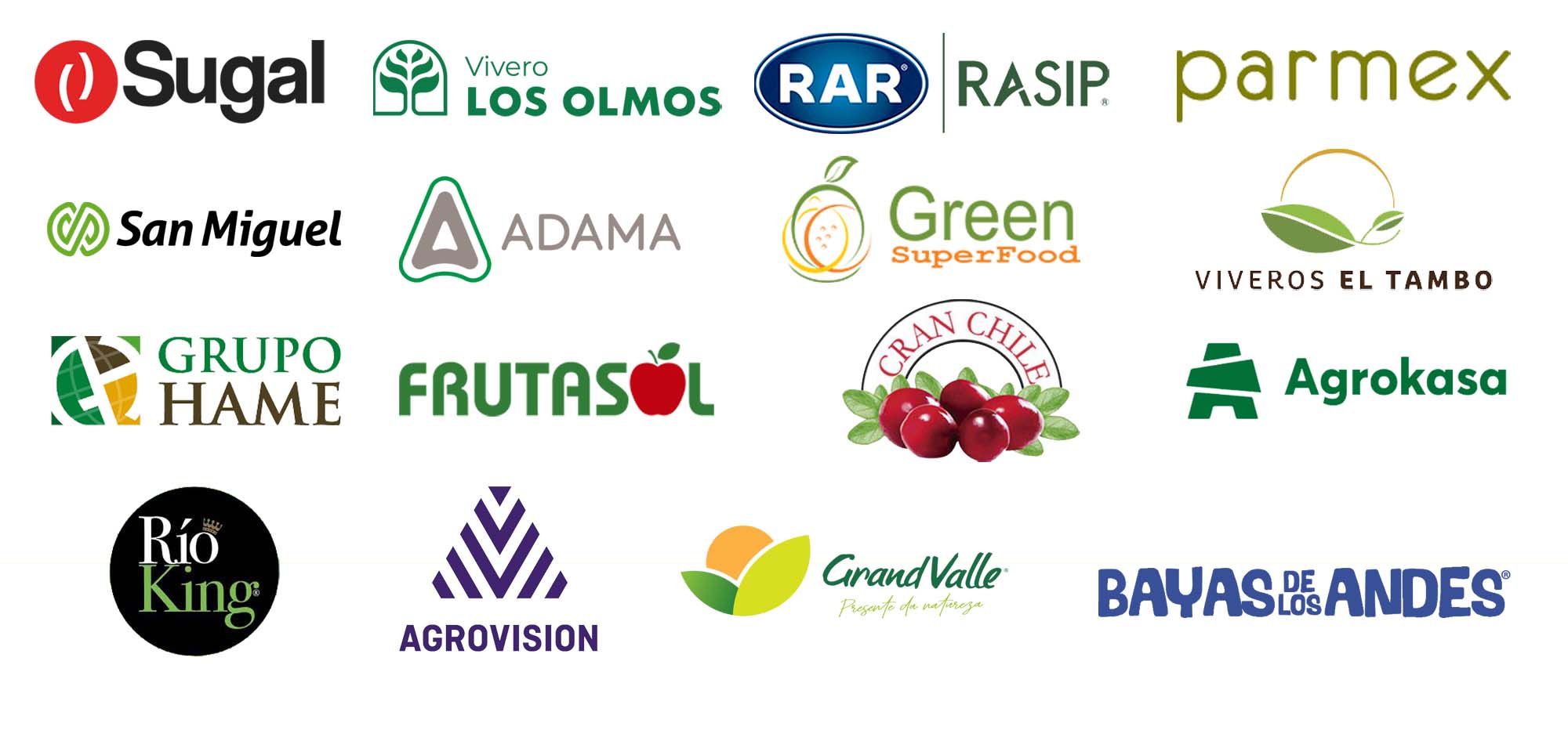 Logotipos de clientes líderes da Hispatec no resto da América Latina