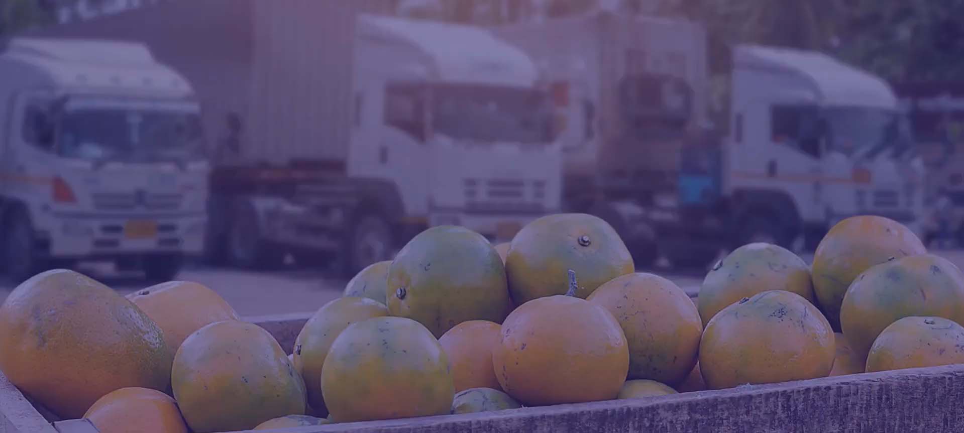 Logística Terrestre Exportação