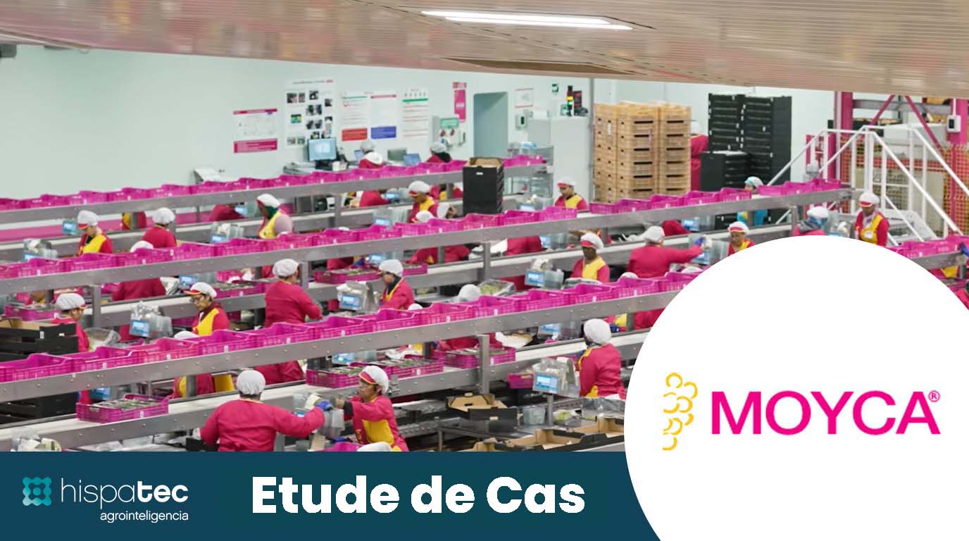 Cas de Succès Moyca