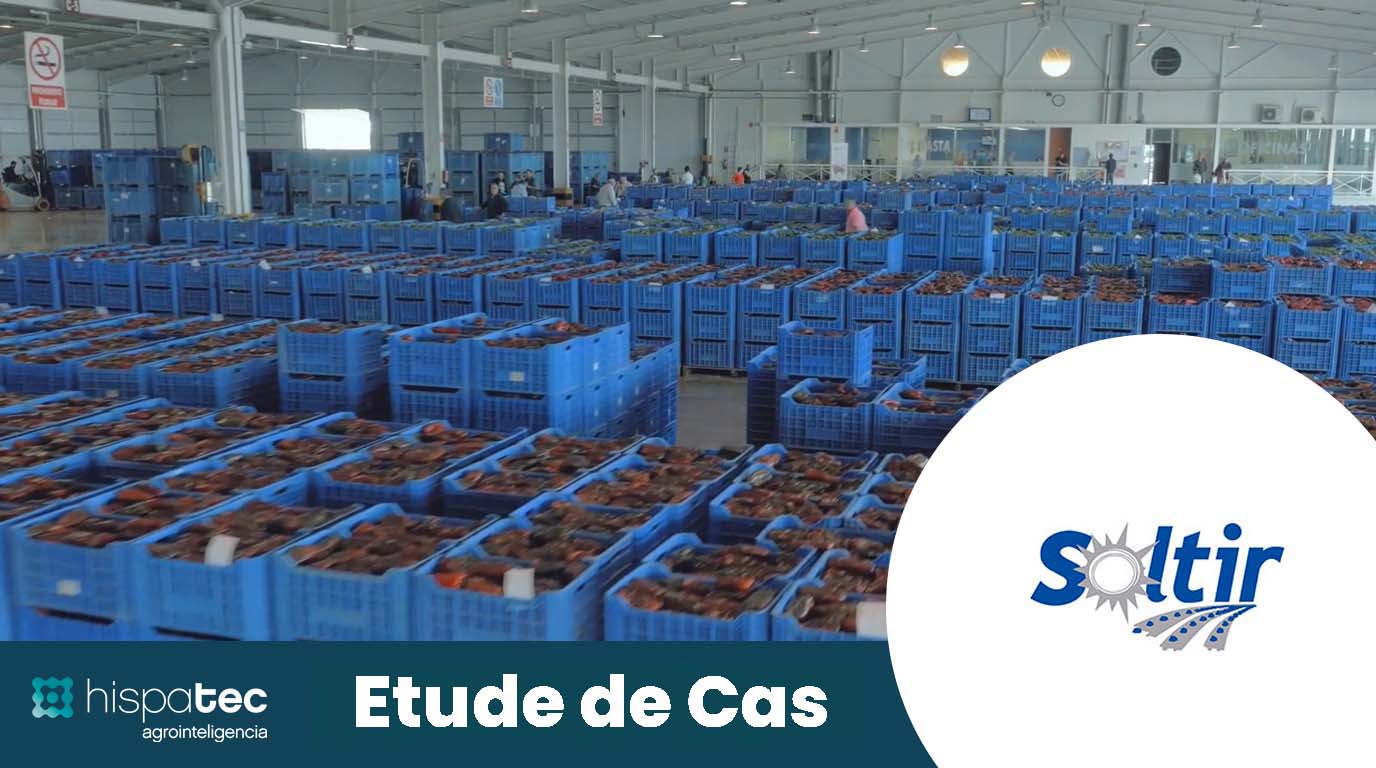 Vidéo Cas de Succès Soltir: Transparence Enchères et Ventes