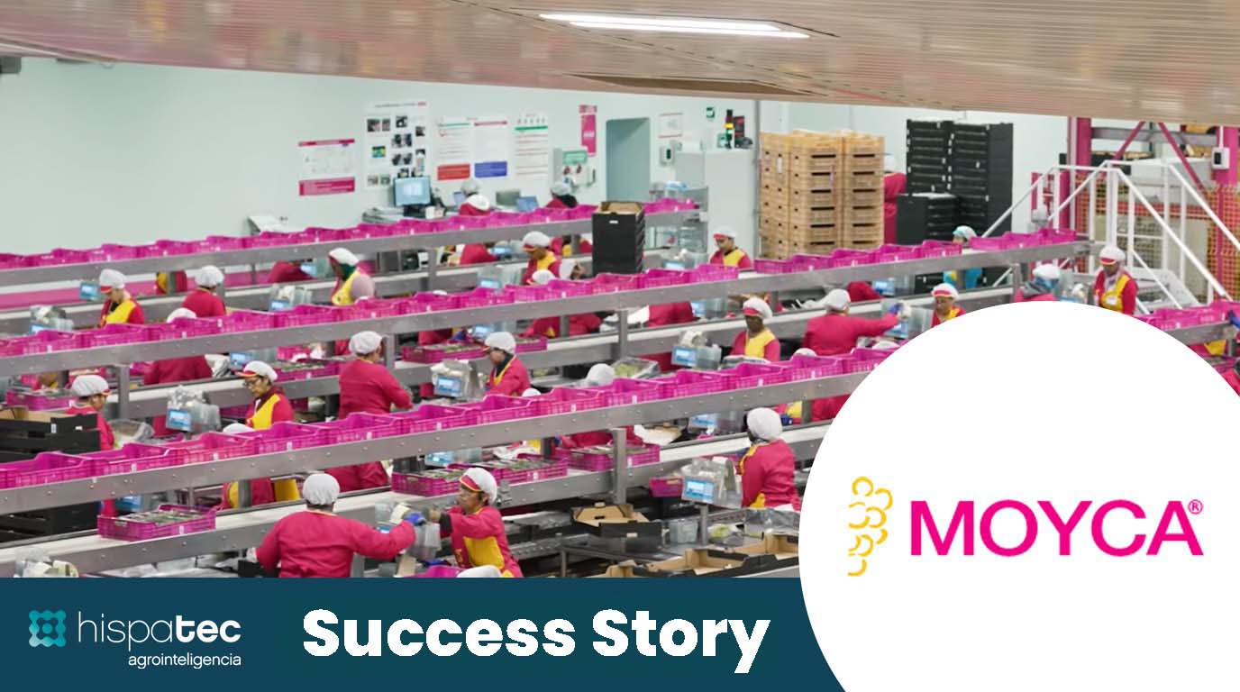 Moyca Success Story