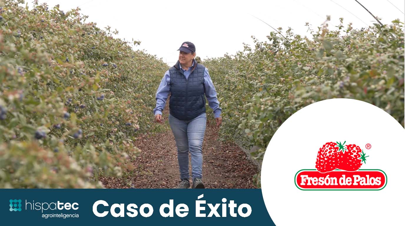Video Caso de Éxito Fresón de Palos: Trazabilidad desde la Finca