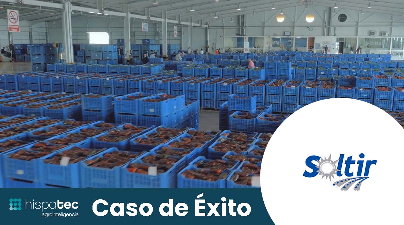 Video Caso de Éxito Soltir: Transparencia en Subasta y Ventas