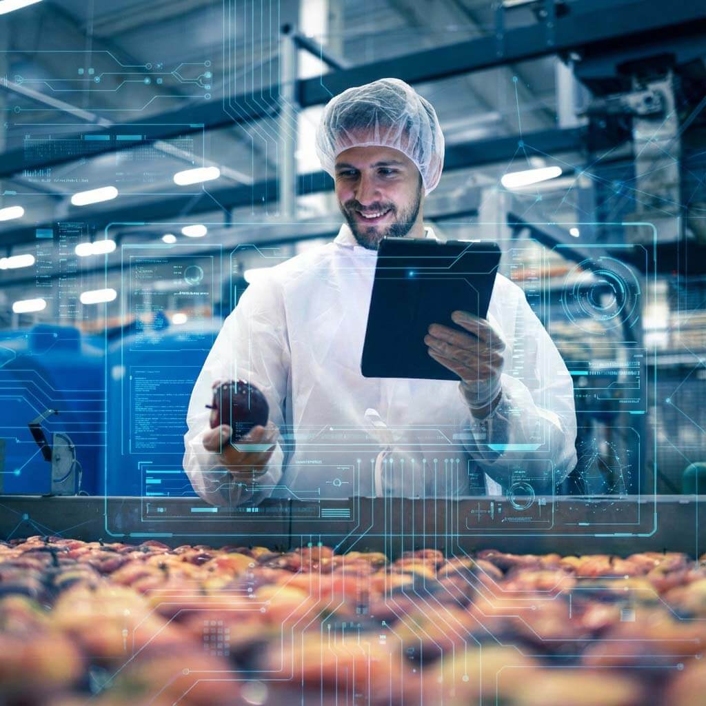 Diagrama da arquitetura do Hispatec ERPagro